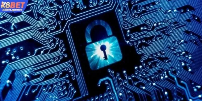 Thông tin về điều khoản riêng tư K8BET quan trọng